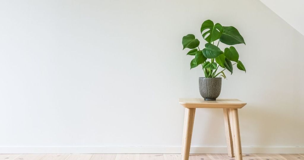 シンプルなリビング ルームのインテリアに鉢植えの木のテーブル