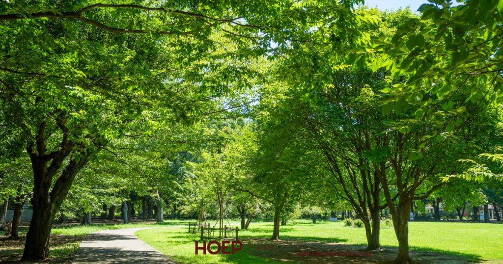 用賀 砧公園